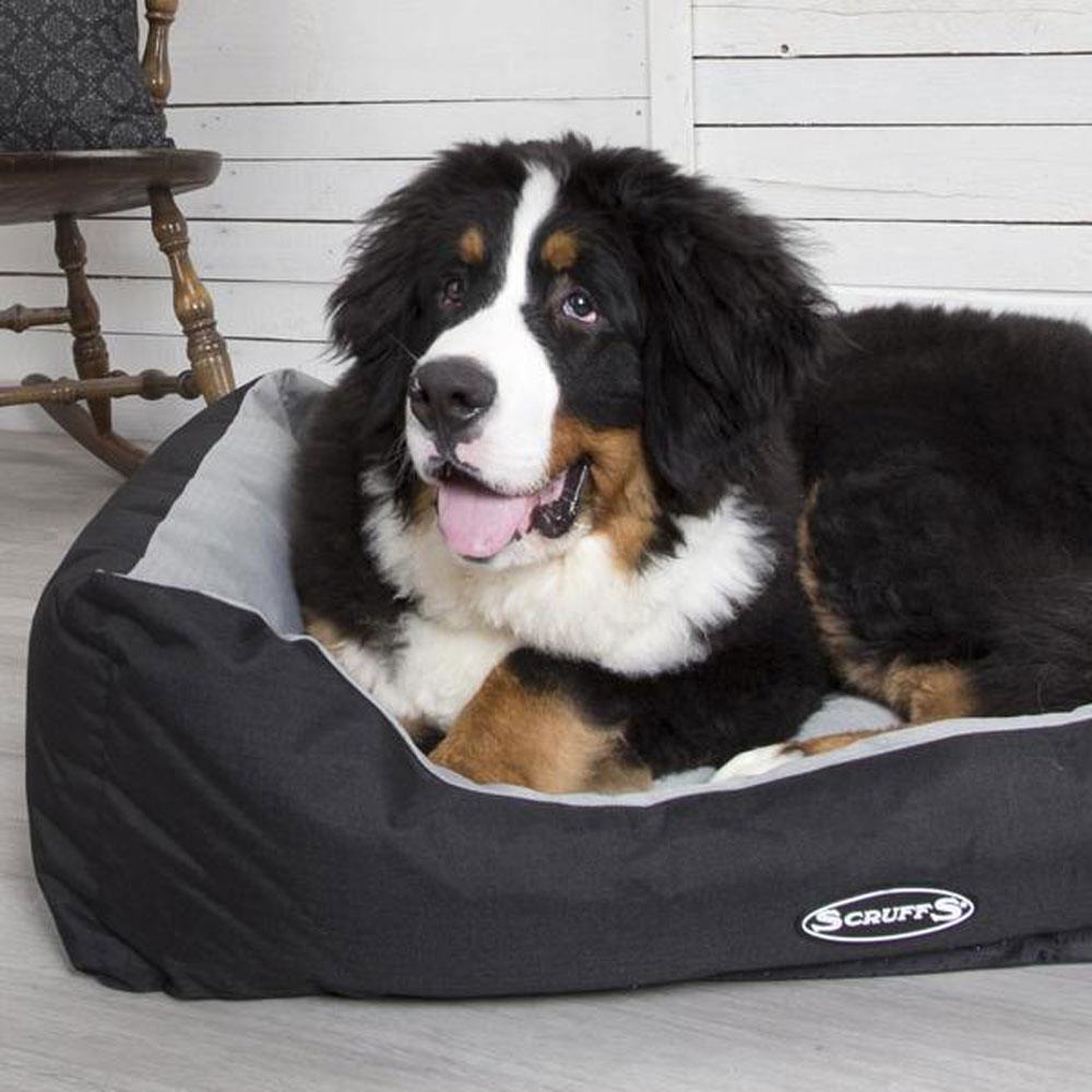 Scruffs Dog Bed Graphite Medium Stakelums Home & Hardware Tipperary