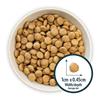 Burns Toy & Small Breed Chicken & Rice 6Kg