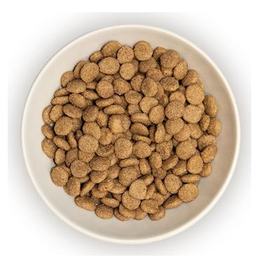Burns Original Chicken Cat 1.5Kg