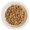 Burns Original Chicken Cat 1.5Kg