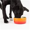 Scruffs Ombre Food Bowl Orange 19cm