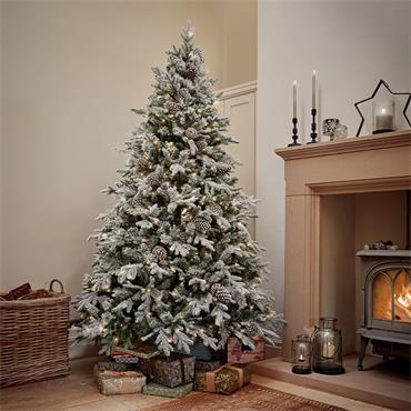 Signature Collection Frosted Icelandic Fir Tree 2.6m (8.5ft)