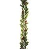 Premier Fresh Pine And Red Berry Garland 1.8m