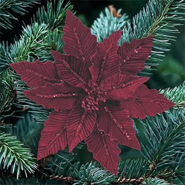 Premier Burgundy Velvet Poinsettia Glitter Clip On 31cm