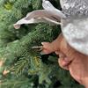 Premier Silver Glitter Poinsettia With Velvet Clip On 30cm