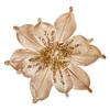 Premier Champagne Gold Velvet Magnolia Clip On 24cm
