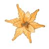 Premier Gold Print Poinsettia Glitter Edging Clip 22cm
