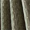 Attica Velvet Green Curtains Eyelet 90x90