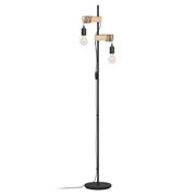 Townshend Standing Light (2)