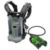 Ego Back Pack Harness And Adapter Only