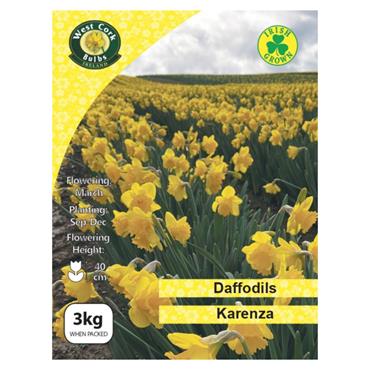 West Cork Daffodil Karenza 3kg Bag