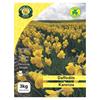 West Cork Daffodil Karenza 3kg Bag