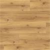 Robust Natural Oak Plank 196x12mm (Per Pack)