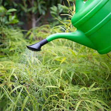 Aquaplus Watering Can 2l