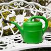 Aquaplus Watering Can 2l