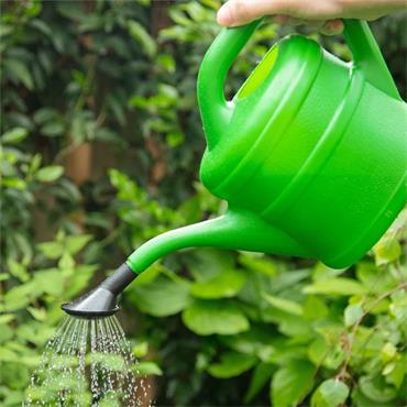 Aquaplus Watering Can 2l