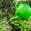 Aquaplus Watering Can 2l