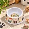 Kitty Cat Bowl