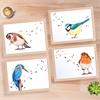 Wild Birds Laptray Assorted