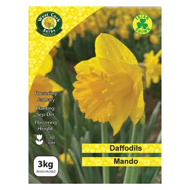 West Cork Daffodil Mando 3kg Net