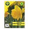 West Cork Daffodil Mando 3kg Net