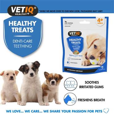 Vetiq Puppy Healthy Treat Teething 50G