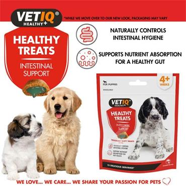 Vetiq Healthy Treats Intestinal Aid 50G