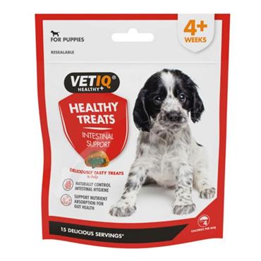 Vetiq Healthy Treats Intestinal Aid 50G