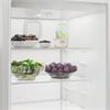 Indesit Tall Larder Fridge 365L 