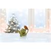 Premier Polyresin Robin On Watering Can 17cm