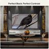 Lg 77" Smart Oled 4k Uhd Tv