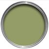 Olive No.13 Flat Eggshell