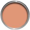 Ointment Pink No.21 Flat Eggshell