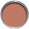 Red Earth No.64 Flat Eggshell