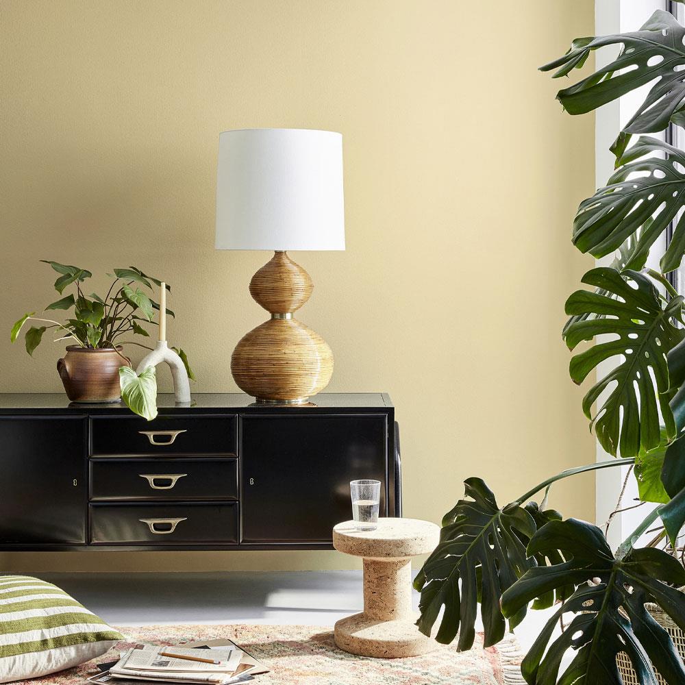 Little Greene Bath Stone 64 Absolute Matt Stakelums Home & Hardware