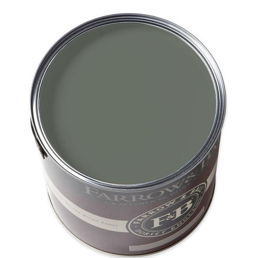 Farrow & Ball Green Smoke No.47 Exterior Eggshell Stakelums Home