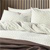 Calcio Leaf Spring Chocolate Duvet Set