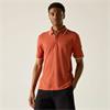 Regatta Adryan Polo Shirt Brick