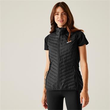 Women's Andreson Hybrid Gilet Black