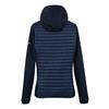 Regatta Womens Andreson Hybrid Navy