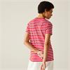 Bayletta Short Sleeve T-shirt High Risk Red/white Stripe