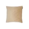 Cushion Velvet Piped Champagne 45x45cm