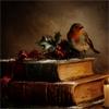 Fervor & Hue Christmas Robin Cushion 45X45Cm