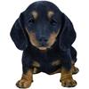 Vivid Arts Pet Pal Dachshund Puppy Ornament