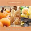 Wax Lyrical Tealights Pumpkin Spice 9 Pack