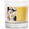 Wax Lyrical 30cl Wax Fill Dancing Daisies