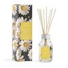 Wax Lyrical Dancing Daisies Reed Diffuser 100ml