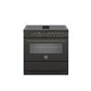Bertazzoni Professional Range Oven Carbonio 90cm