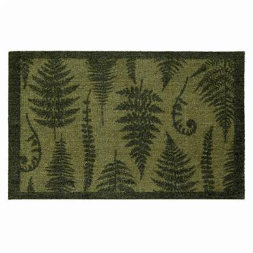 MY MAY MY GREEN FERN 50X75cm