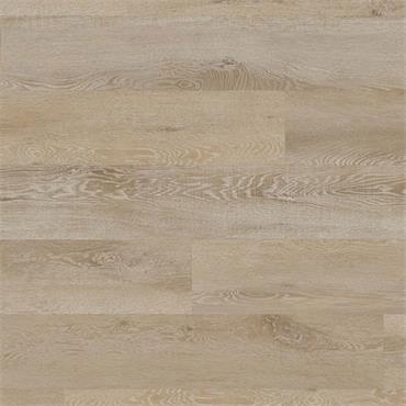 Waterbury Palio Rigid (Per Pack)